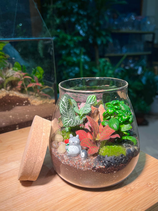 Fittonia and Bubble Plant with Moss Arrangement in Water Drop (S) with Totoro Figurine