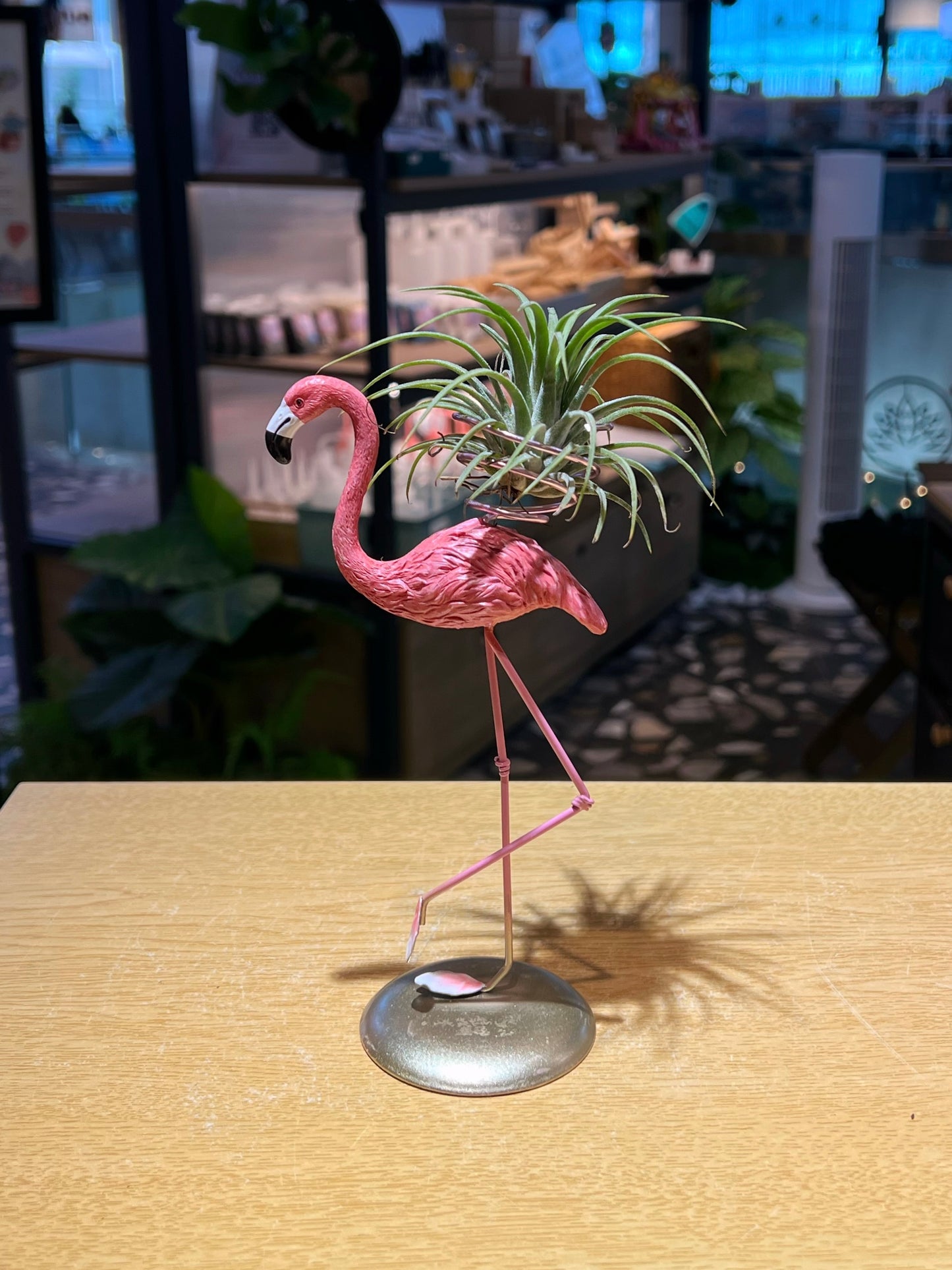 Airplant in Pink Flamingo Stand