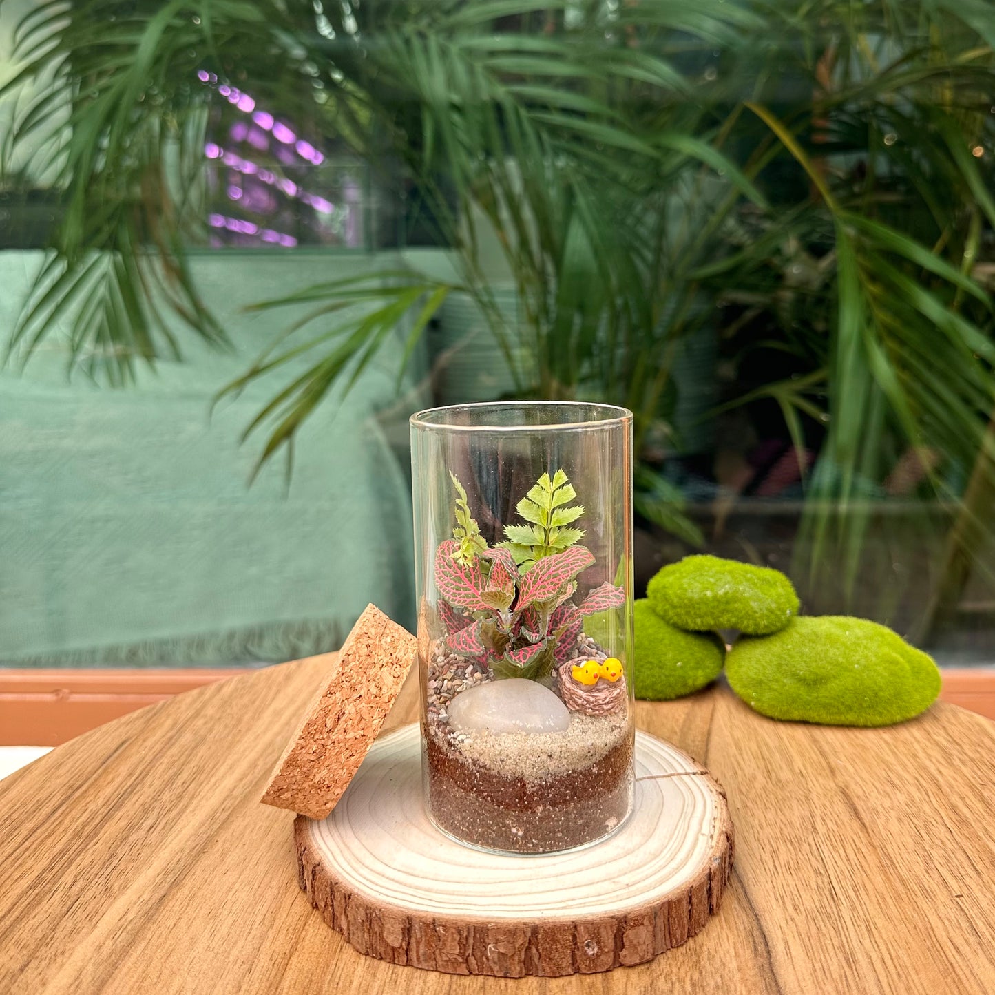 Mix Indoor Plants in Cylinder Terrarium with Cork