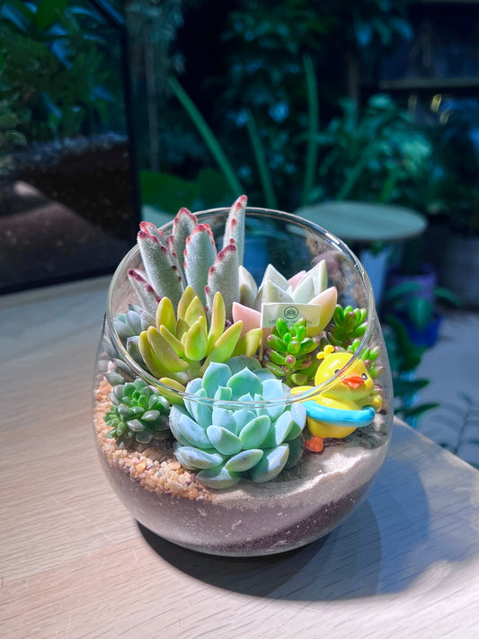 Succulent Arrangement in Slanted Glass Terrarium (L)
