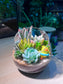 Succulent Arrangement in Slanted Glass Terrarium (L)