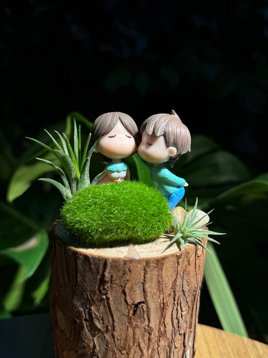 Airplant with Couple Figurines