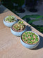 Door Gift - Succulent (多肉植物) in Cloud Glazed Pot