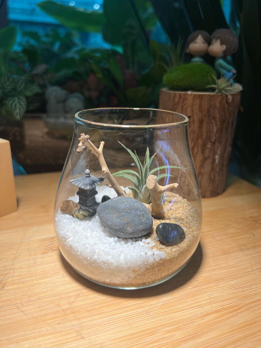 Airplant in Round Fuji Glass