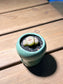 Lithops in Finger Glazed Ceramic Pot