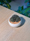 Chinese Jade ( 滇石莲 ) Sinocrassula Yunnanensis in White Ceramic Pot