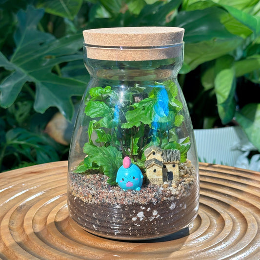 Fern in Glass Jar Terrarium with Cork