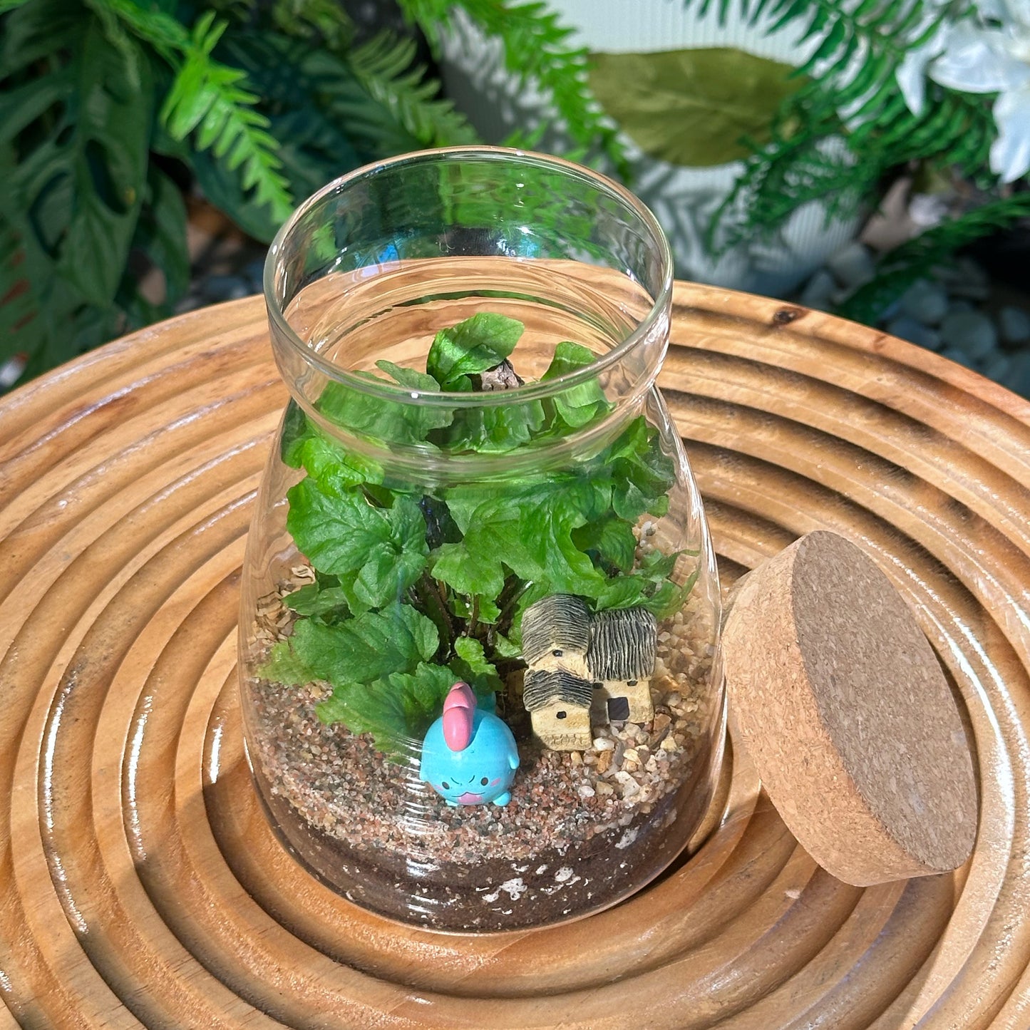 Fern in Glass Jar Terrarium with Cork