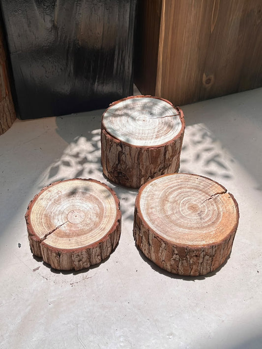 Woodlog Pedestal (εζ¨εΊεΊ§) Natural Wood Stump Display Stand