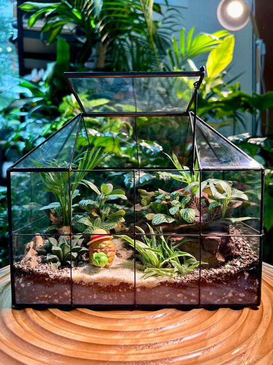 Black Frame Housing Designer Terrarium