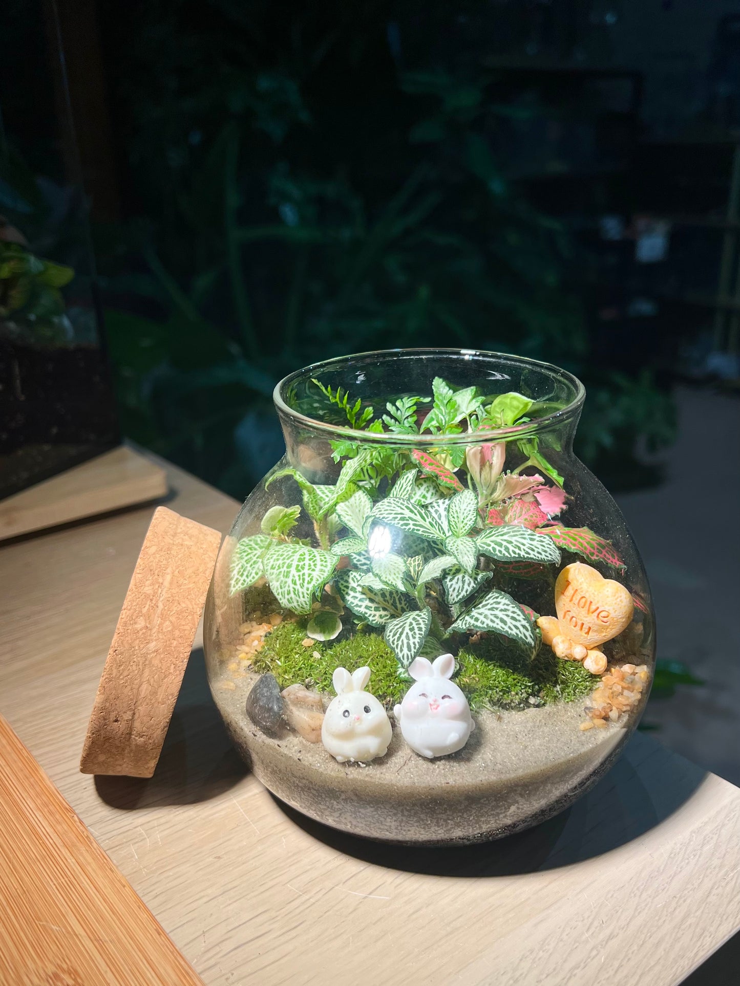 Fittonia, Fern with Moss (Indoor Plant) Arrangement in Round Covered Glass Terrarium (M)