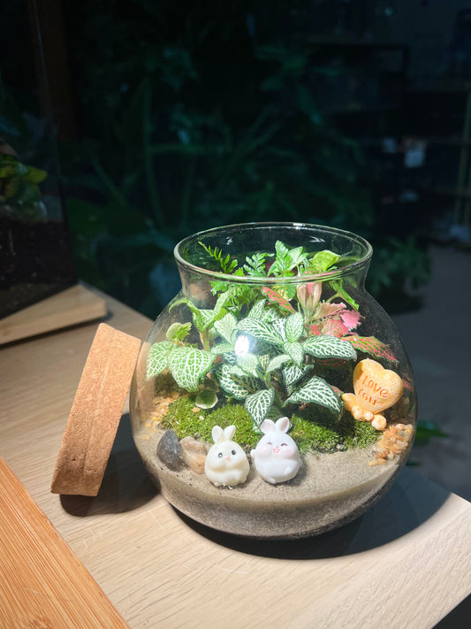 Fittonia, Fern with Moss Arrangement in Round Covered Glass Terrarium (M)