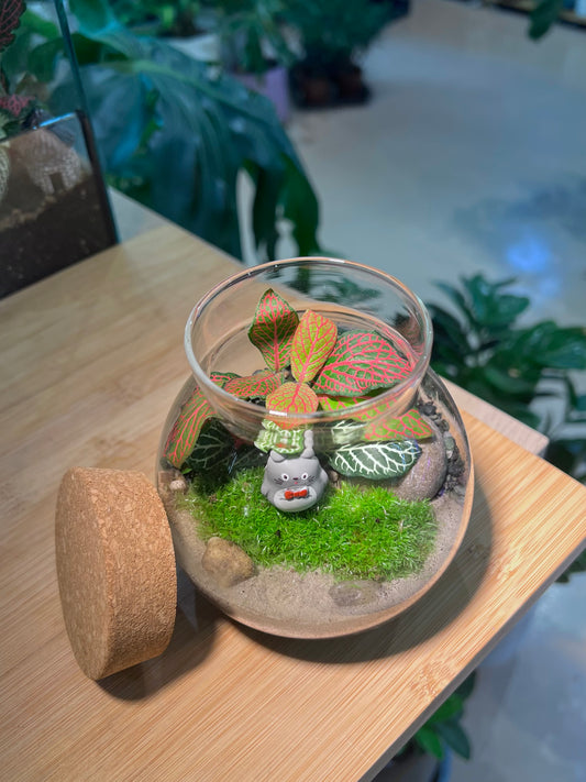 Fittonia with Moss Arrangement in Round Covered Glass Terrarium (S) - Totoro Figurine