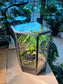 Fittonia, Asparagus Fern with Moss Arrangement in Pentagonal Tall Glass with Lid Terrarium