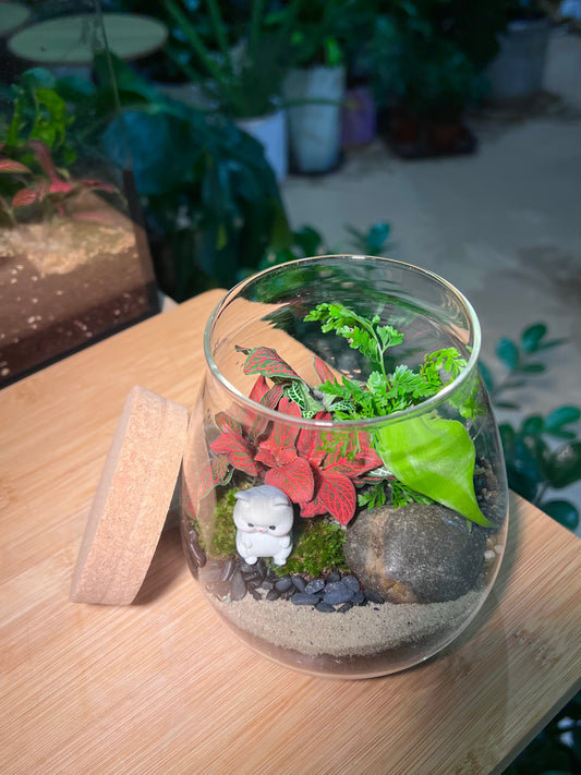 Fittonia, Njoy & Fern with Moss Arrangement in Water Drop Terrarium (S)
