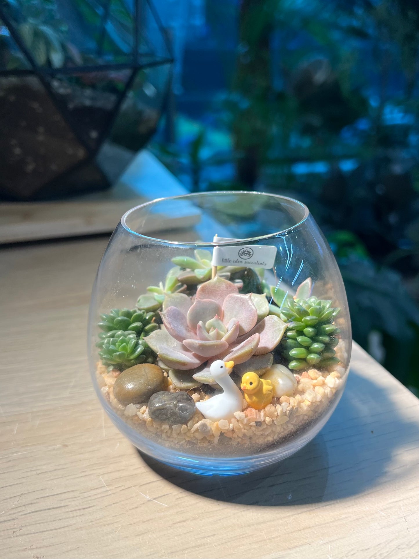 Succulent Arrangement in Crystal Glass Terrarium