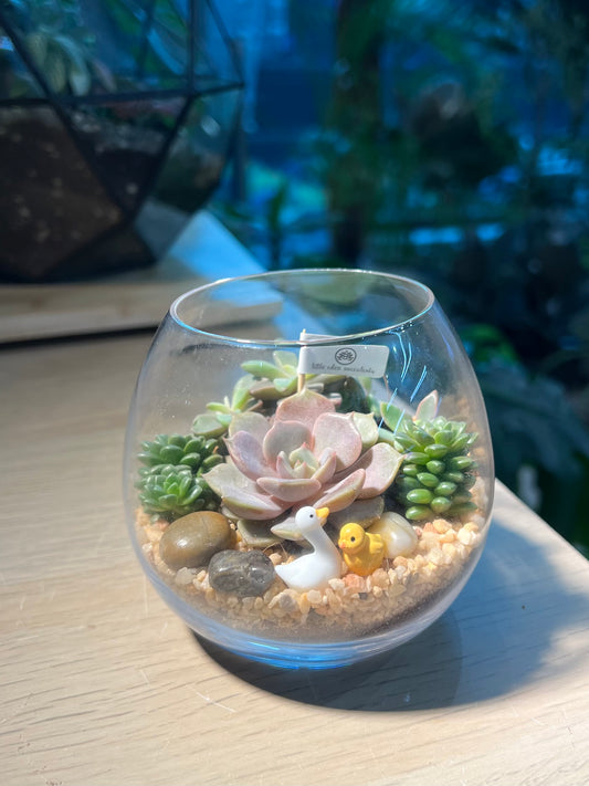 Succulent Arrangement in Crystal Glass Terrarium