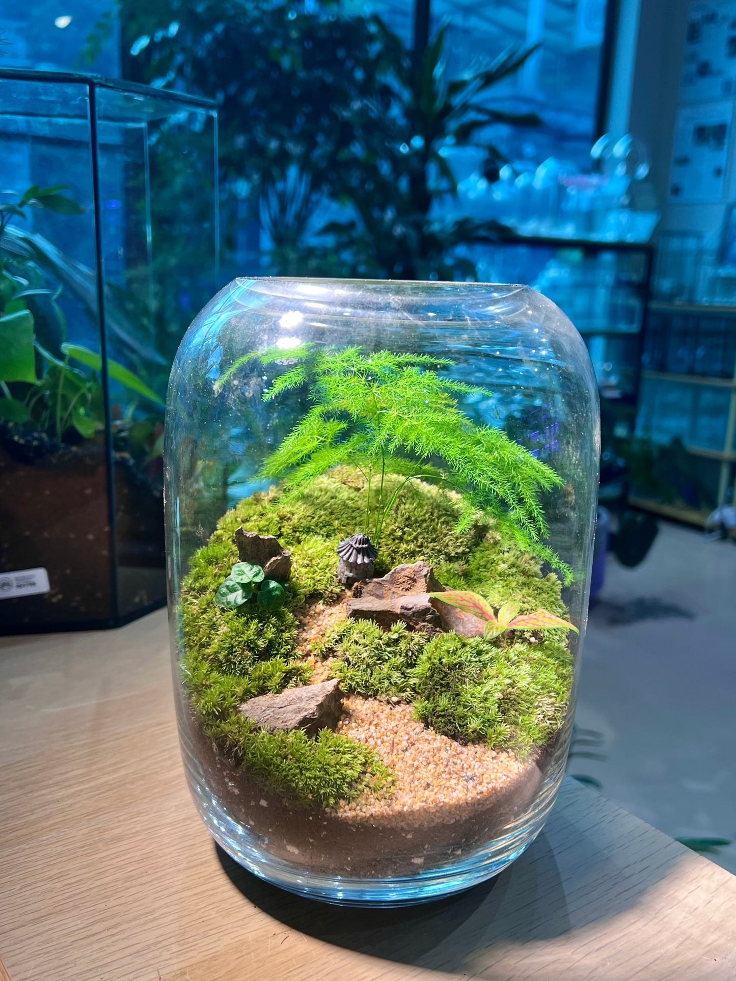 Asparagus Fern with Moss Arrangement in Tall Fishbowl Glass without Lid Terrarium