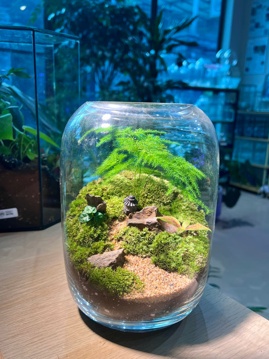 Asparagus Fern with Moss Arrangement in Tall Fishbowl Glass without Lid
