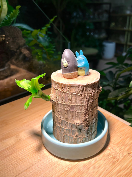 Brazil Wood with Totoro Figurine