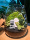 Zen Monk Moss Terrarium