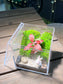 Fittonia with Moss Arrangement in Arcylic Box Terrarium