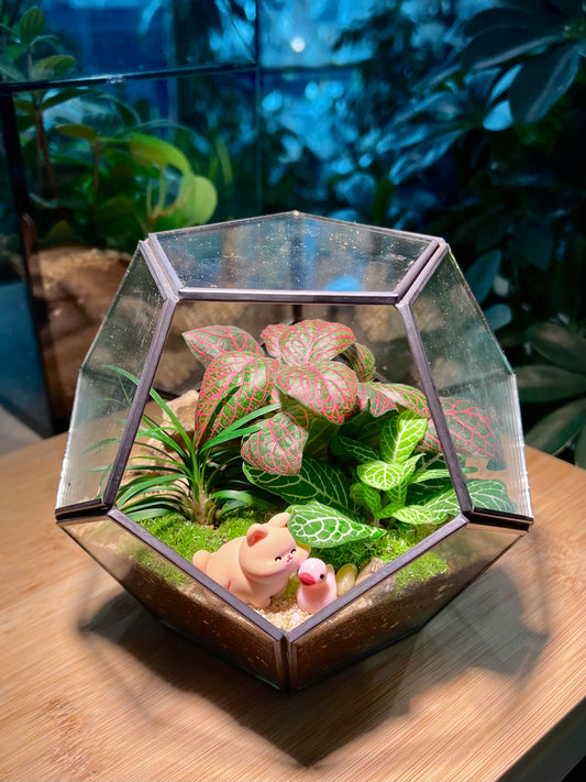 Fittonia with Moss Arrangement in Nonagon Glass (S)