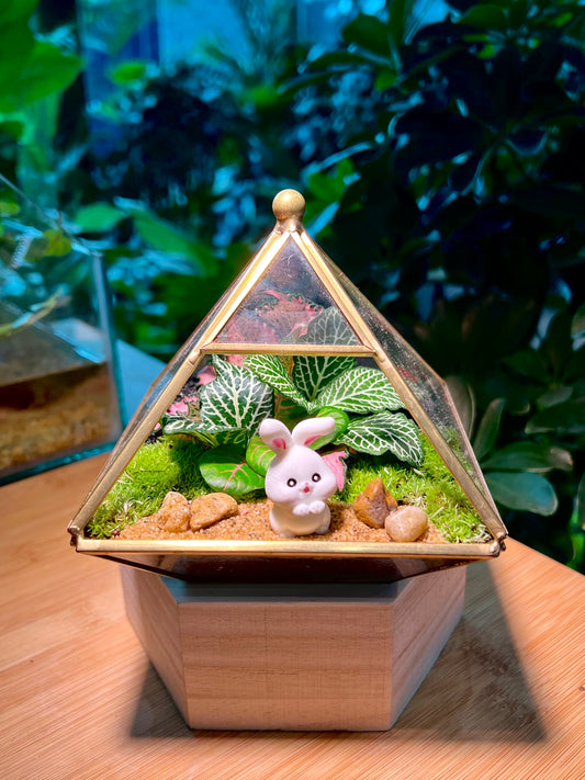 Fittonia & Moss Arrangement in Small Pyramidal Glass