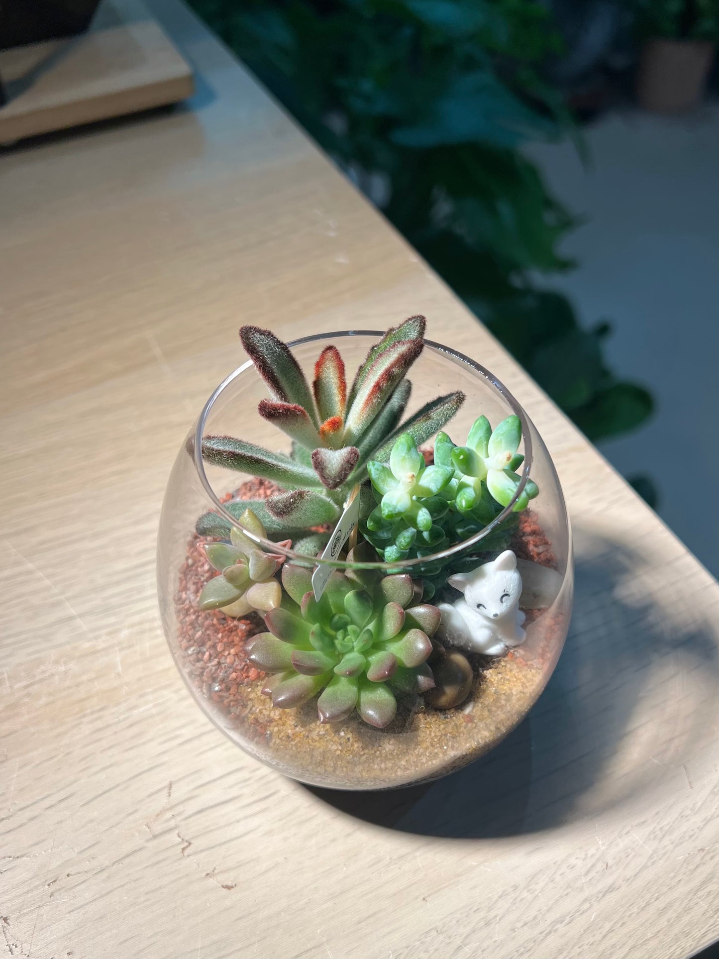 Succulent Terrarium in Crystal Glass