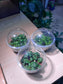 Cupcake Pot - Bubble Plant
