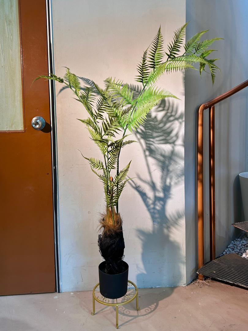Artificial Fern Plant (蕨类植物) in Black Polymer Pot
