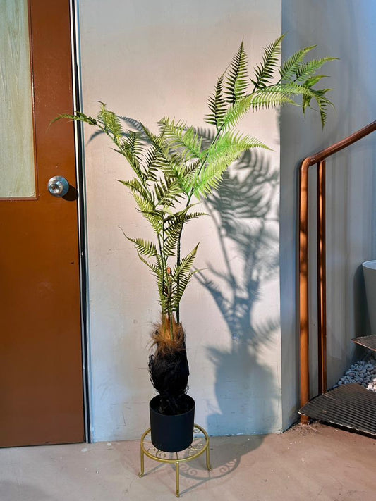 Artificial Fern Plant (蕨类植物) in Black Polymer Pot