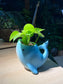Money Plant (Epipremnum Aureum) in Whale Animal Ceramic Pot