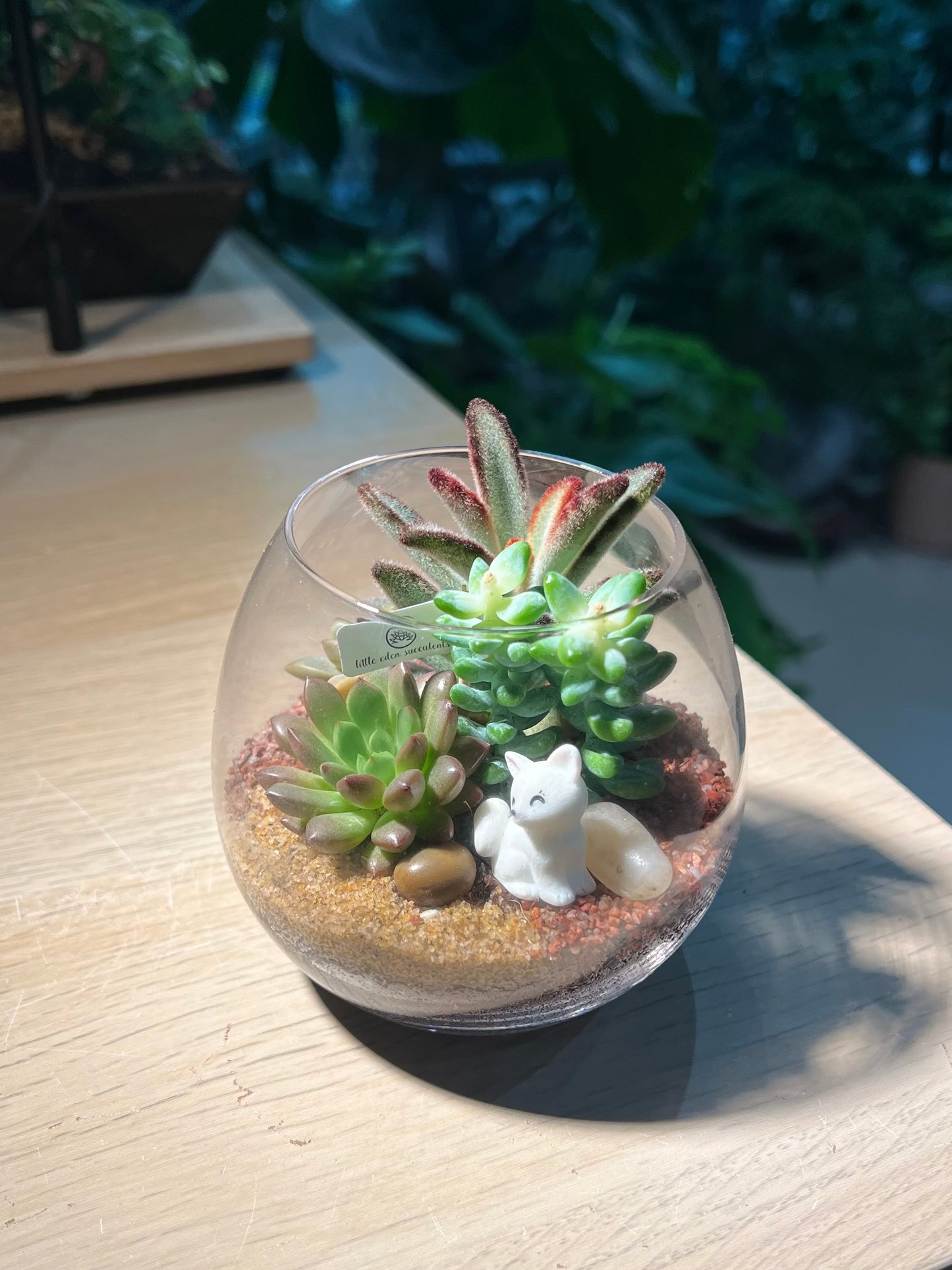 Succulent Terrarium in Crystal Glass
