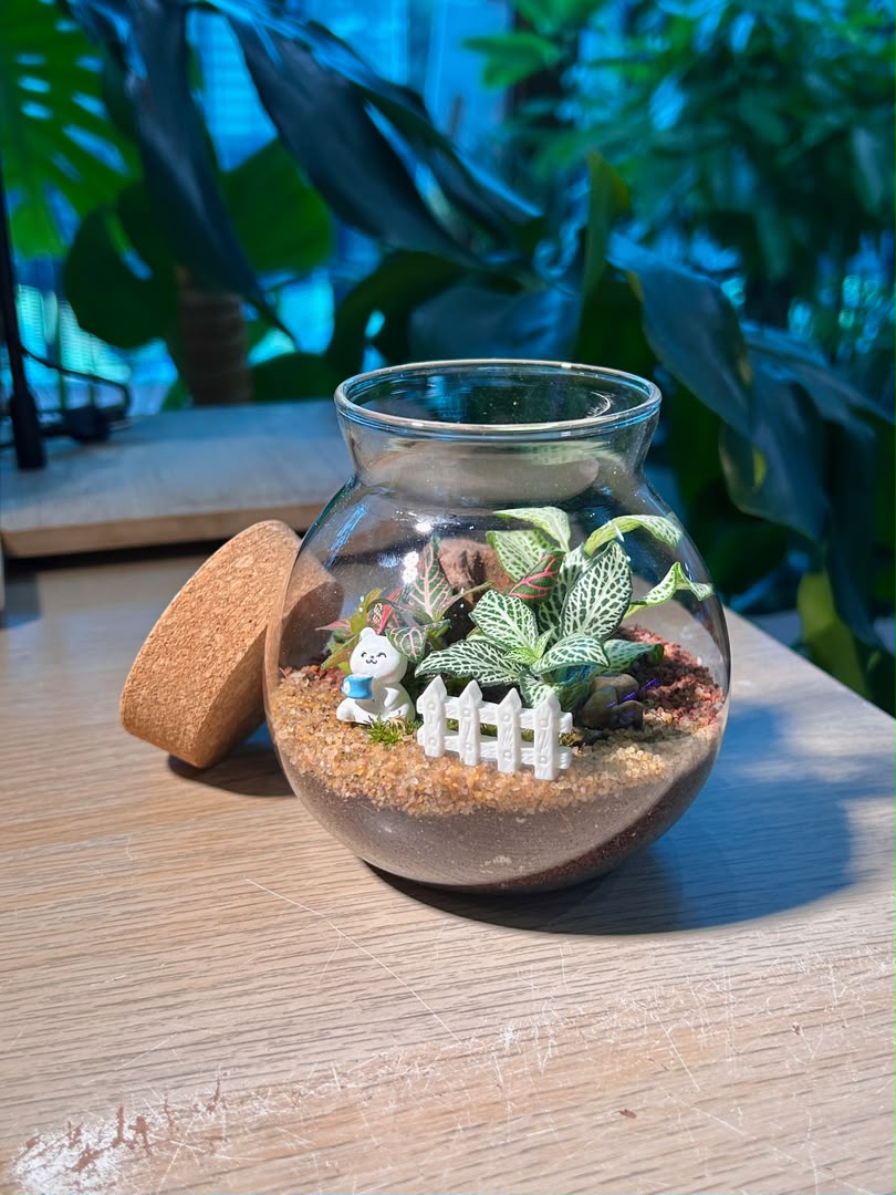 Indoor Plant Arrangement Fittonia & Moss (网纹草 & 苔藓) in Round Covered Glass (S)
