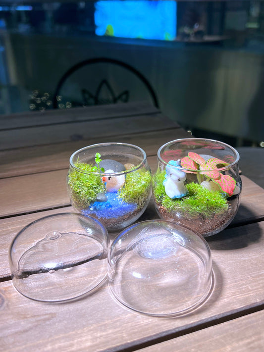 Moss with or without Fittonia in Tea Glass Terrarium