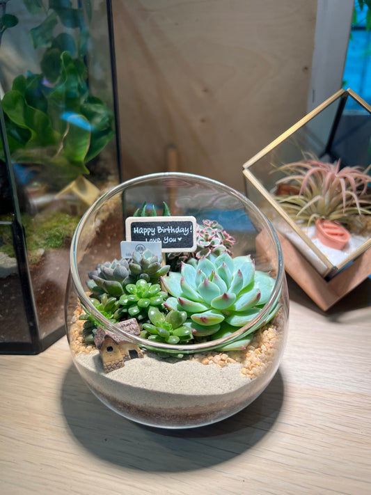 Succulent Terrarium in Slanted Glass