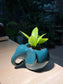 ZZ Plant (金钱树) in Elephant Pot