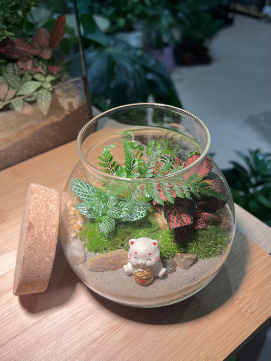 Fittonia and Fern with Moss Arrangement in Round Covered Glass Terrarium (M)