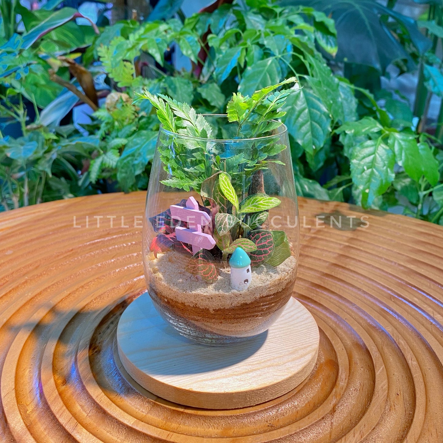 Fittonia & Fern Seedling Arrangement in Tall Glass