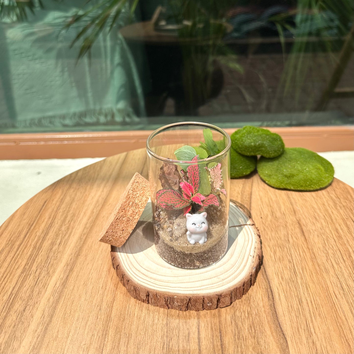 Mix Indoor Plants in Cylinder Terrarium with Cork