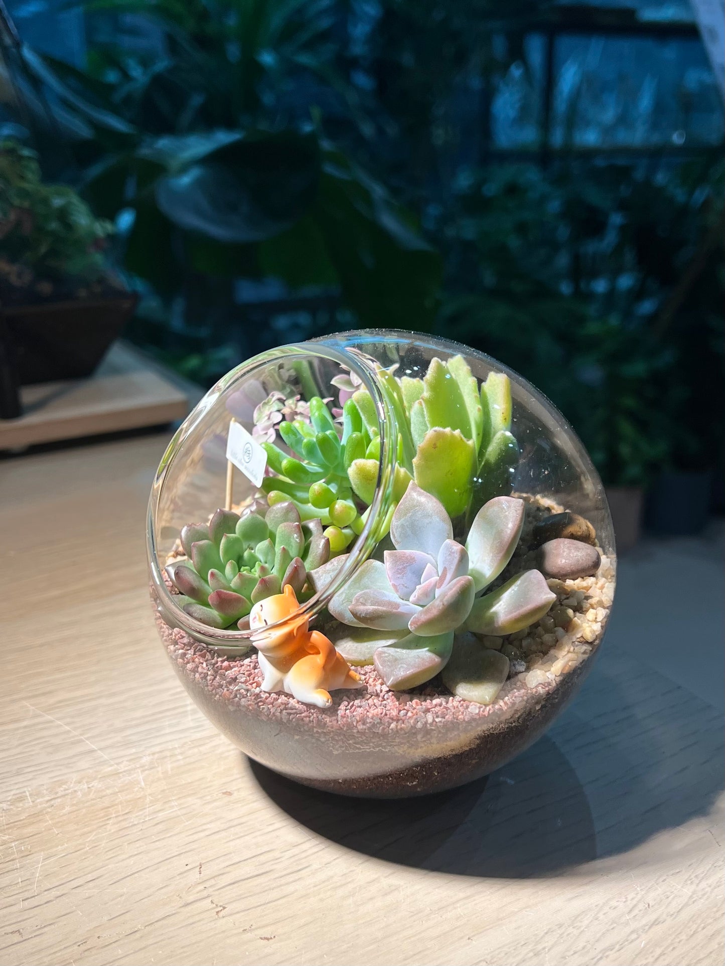 Succulent Terrarium in Round Glass (L)