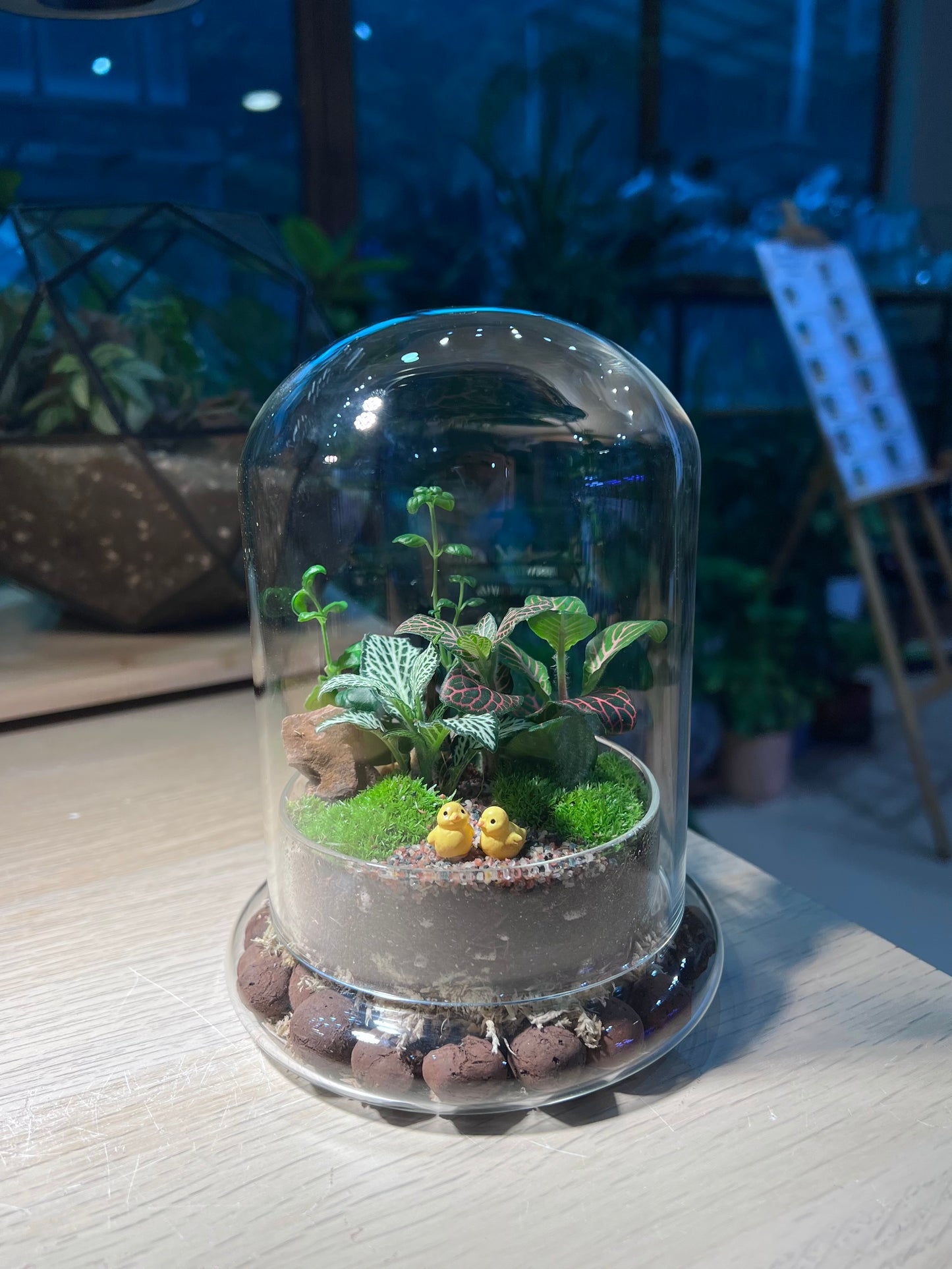 Indoor Plant Terrarium in Bell Glass (S)