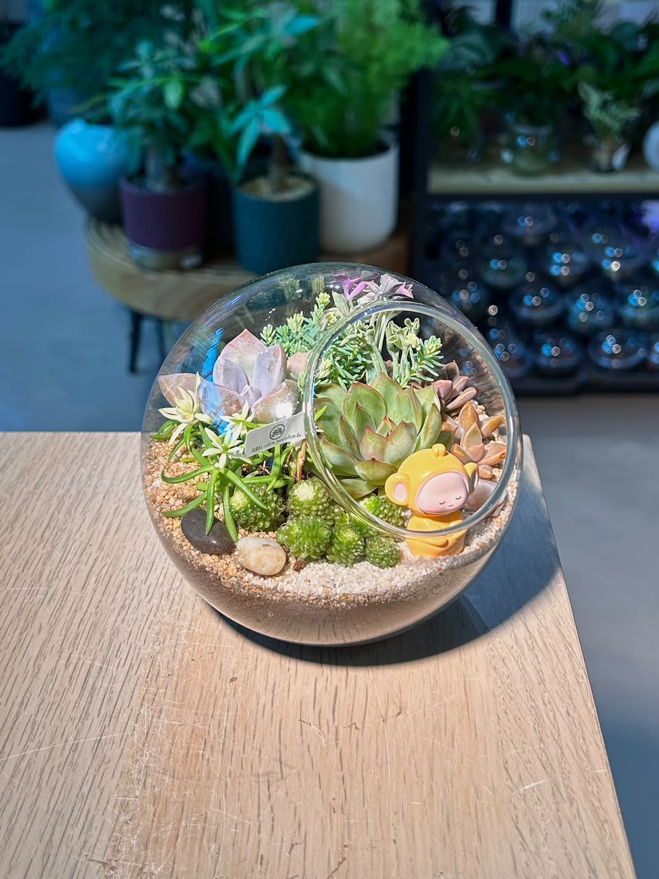 Succulent Terrarium in Round Glass (L)