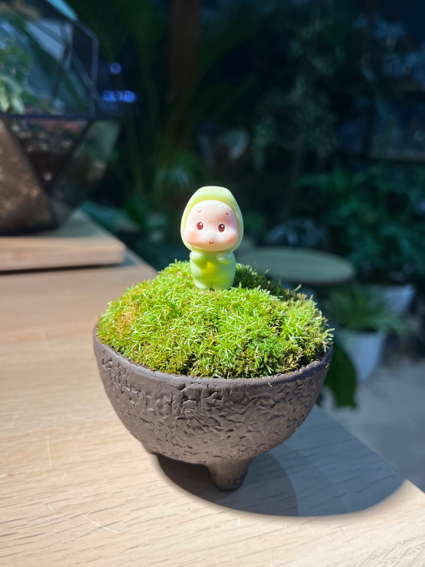 Moss Arrangement in Textured Matt Black Pot