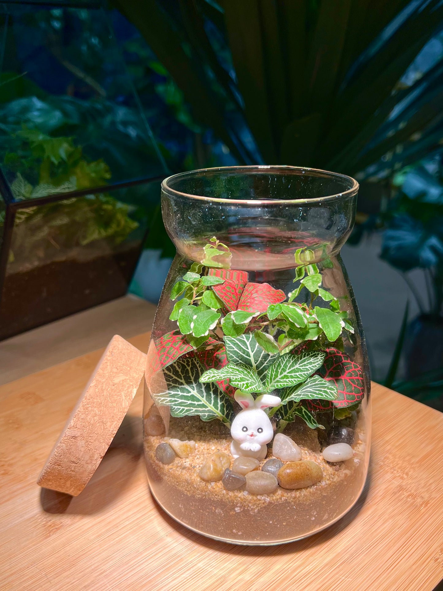 Fittonia and Ficus Pumila Arrangement in Cover A Line Jar Glass