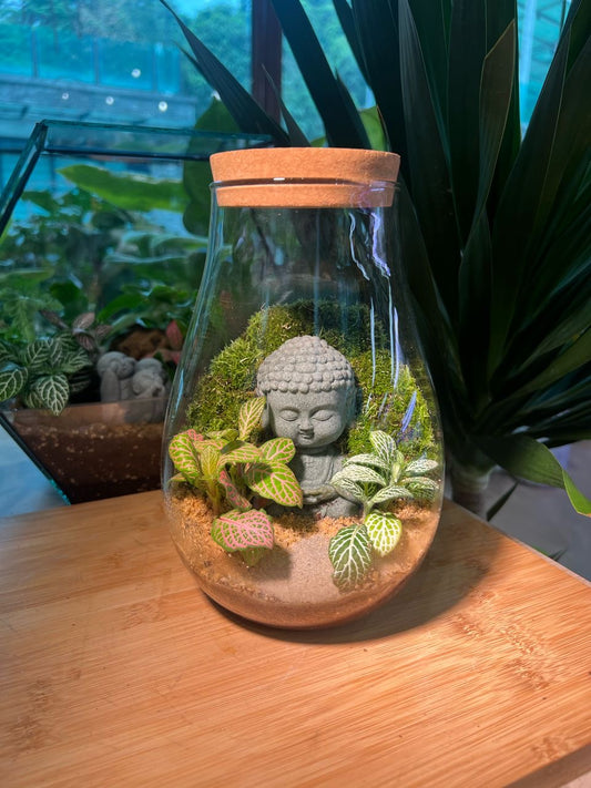 Fittonia with Moss Arrangement and Buddha Statue in Long Neck Glass with Lid