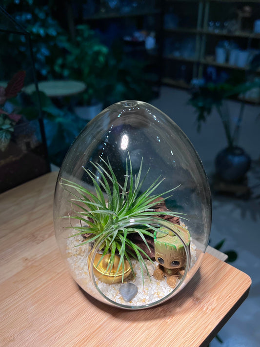 Airplant in Eggette Glass with Groot Figurine (M)