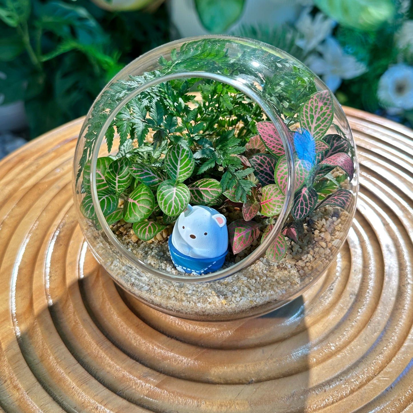 Fern and Fittonia in Round Glass Terrarium