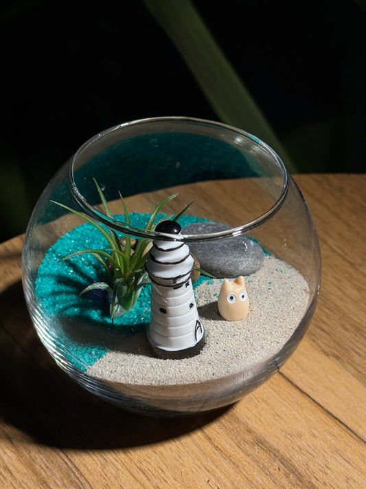 Airplant in Round Glass